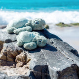 LITTLE TYLER TURTLE SOFT TOY