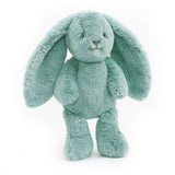 BANJO BUNNY SOFT TOY