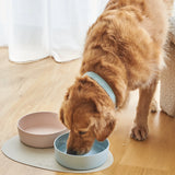 CERAMIC PET BOWL - LARGE - VARIOUS COLOURS