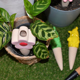 SLOW PLANT WATERING FLOWERS