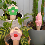 SLOW PLANT WATERING FLOWERS