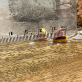 PINK & GOLD STUD EARRINGS