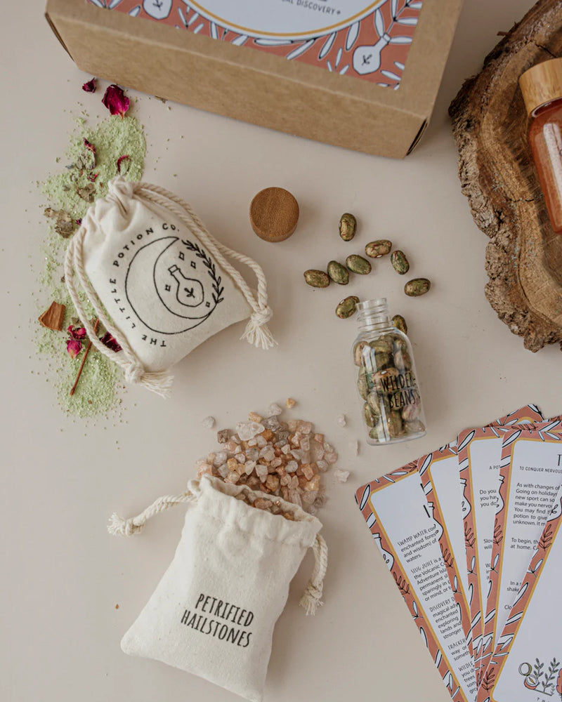 WILD ADVENTURE MINDFUL POTION KIT