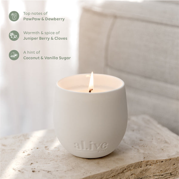 SWEET DEWBERRY & CLOVE CANDLE