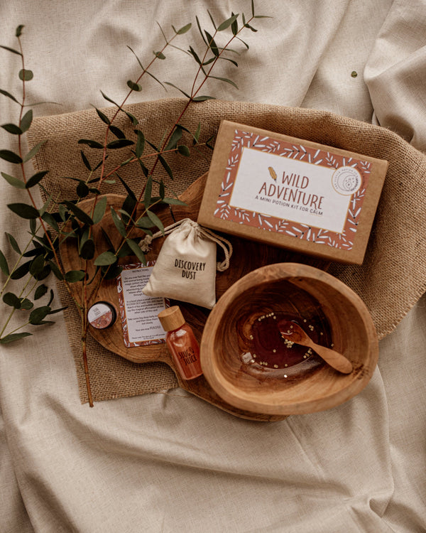 MINI WILD ADVENTURE POTION KIT