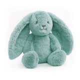 BANJO BUNNY SOFT TOY
