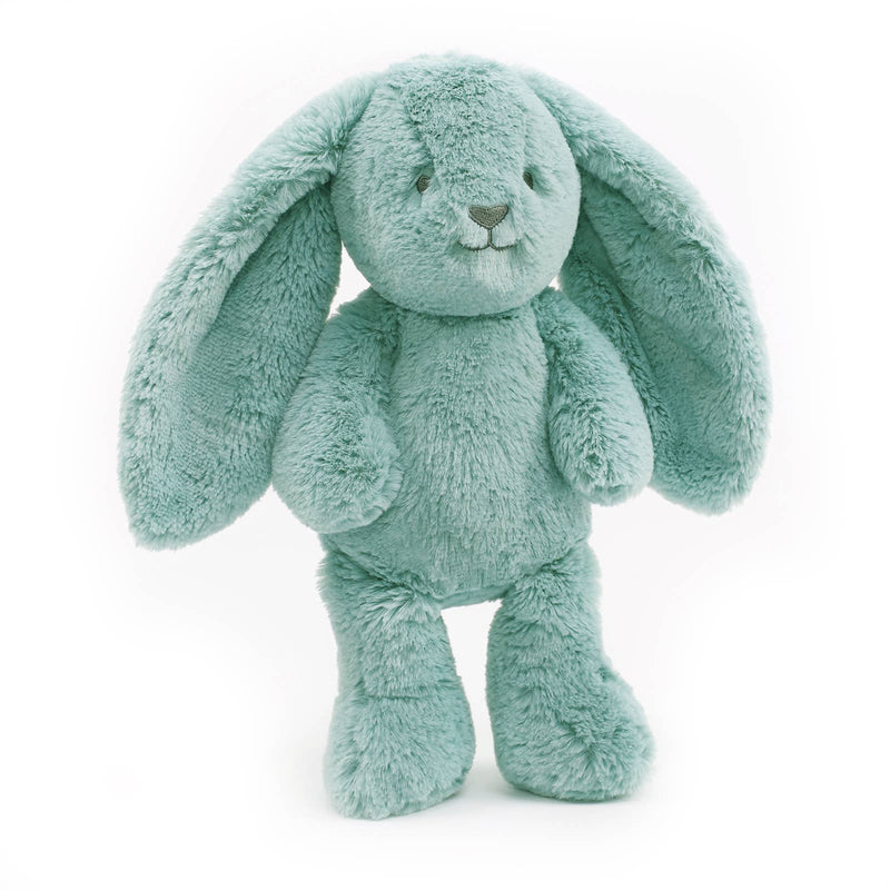 BANJO BUNNY SOFT TOY