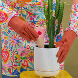 SLOW PLANT WATERING FLOWERS