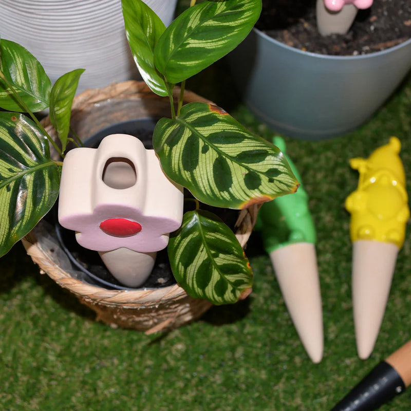 SLOW PLANT WATERING FLOWERS
