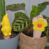 SLOW PLANT WATERING FLOWERS