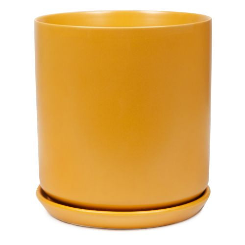 CYLINDER POT WITH SAUCER - MUSTARD