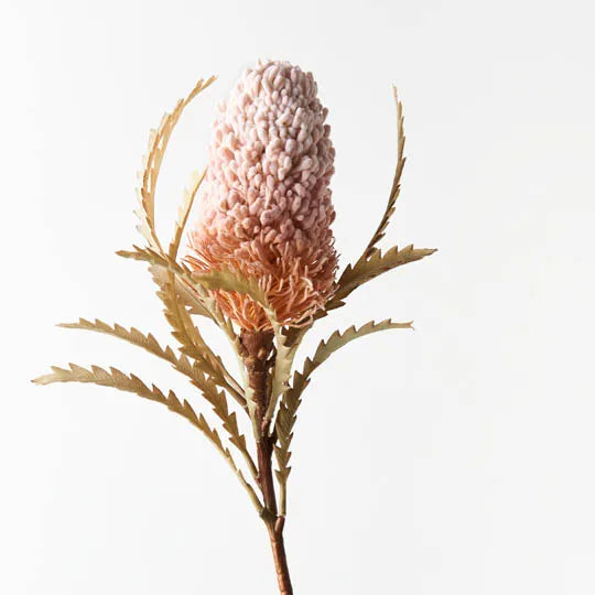 FAUX ACORN BANKSIA - LIGHT PINK