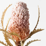 FAUX ACORN BANKSIA - LIGHT PINK