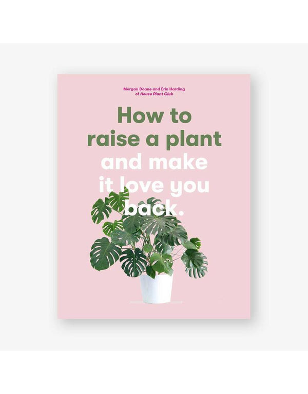 HOW TO RAISE A PLANT