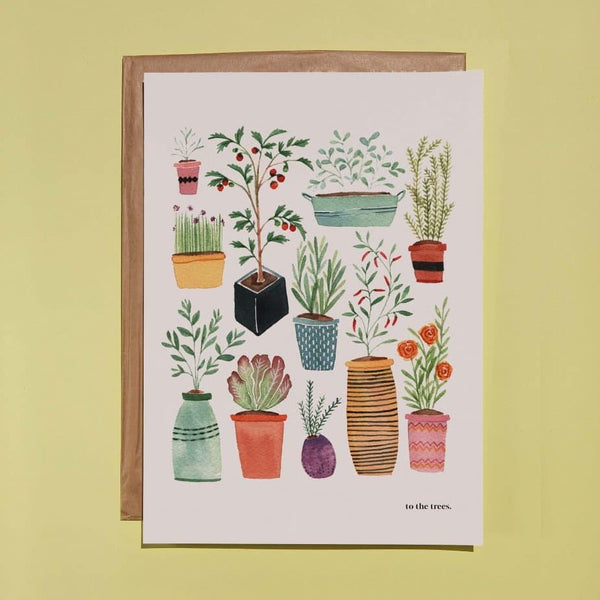 ARTIST PRINT - 'POT PLANTS'