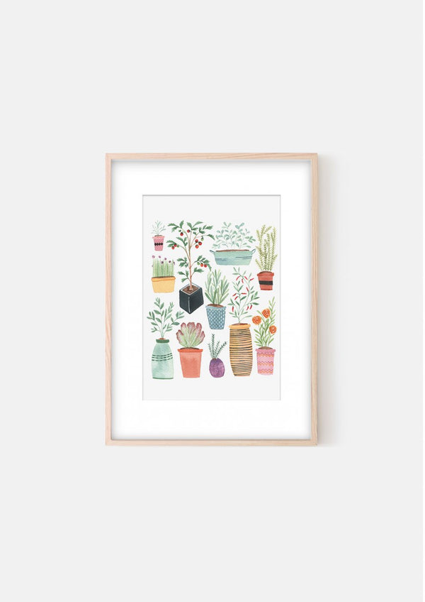 ARTIST PRINT - 'POT PLANTS'